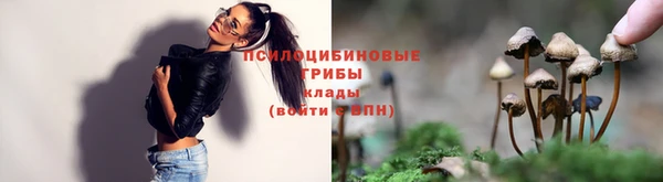 а пвп мука Алзамай