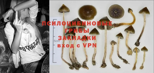 а пвп мука Алзамай