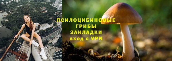 мескалин Алексеевка