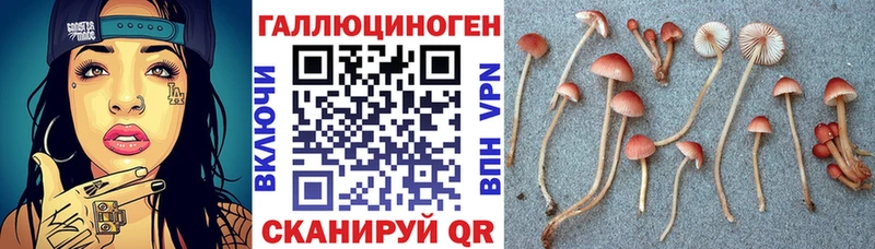 Псилоцибиновые грибы ЛСД  Белоярский 